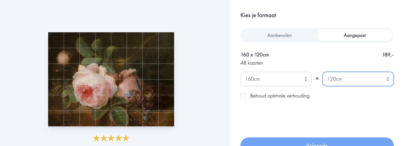 IXXI Koolroos