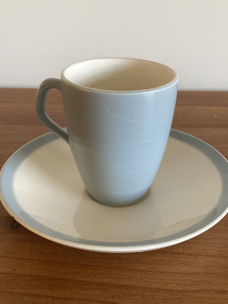 Vintage set kop en schotel pastel van Petrus Regout - Mid-Century