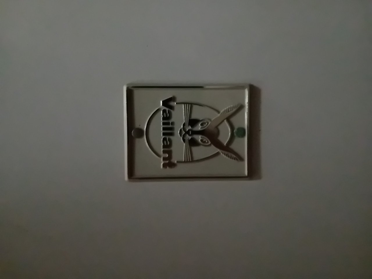 Badgeiser op gas