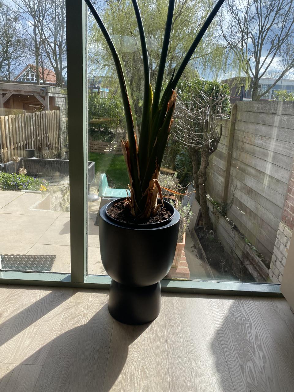 3 Elho binnen en buiten plantenpot