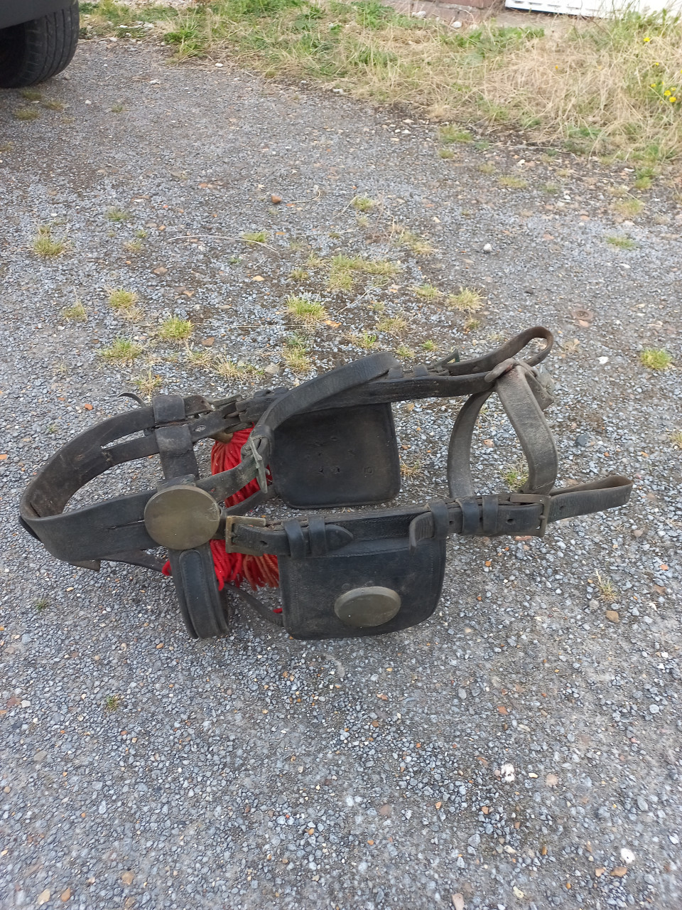 Vintage hoofdstel Belgische trekpaard