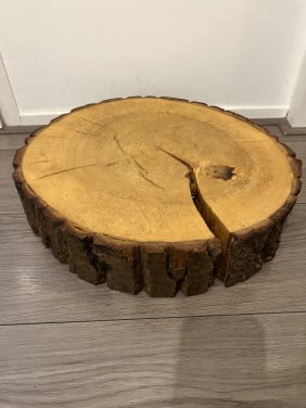 Boomstamschijf