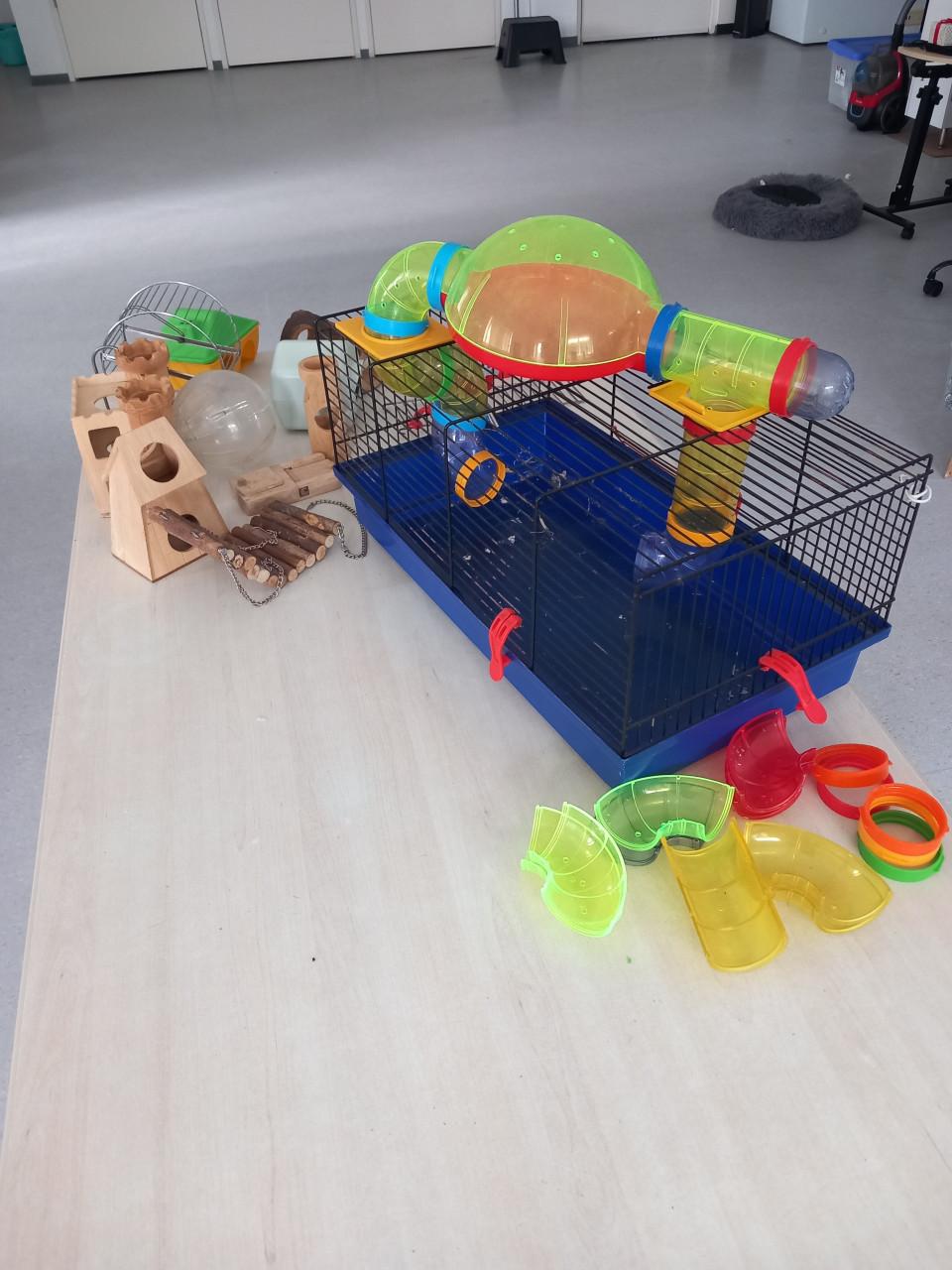 Hamster uitzet