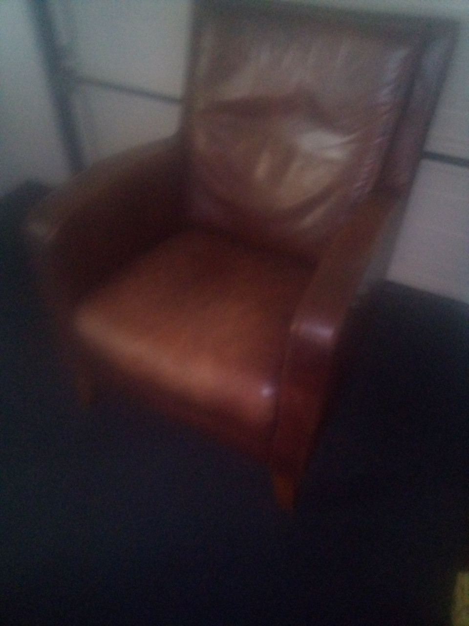 Leren Fauteuil