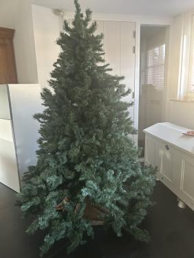 Kerstboom ong 2 meter.