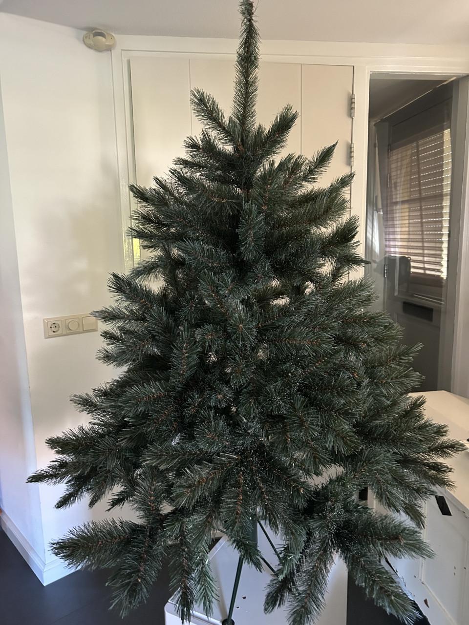 Kerstboom , 1 keer opgezet. Intratuin , Romagne