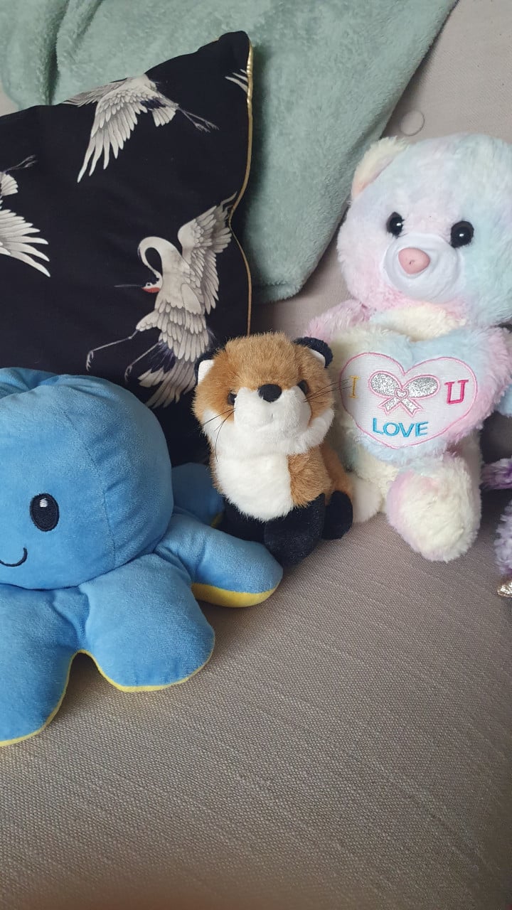 Ty knuffels