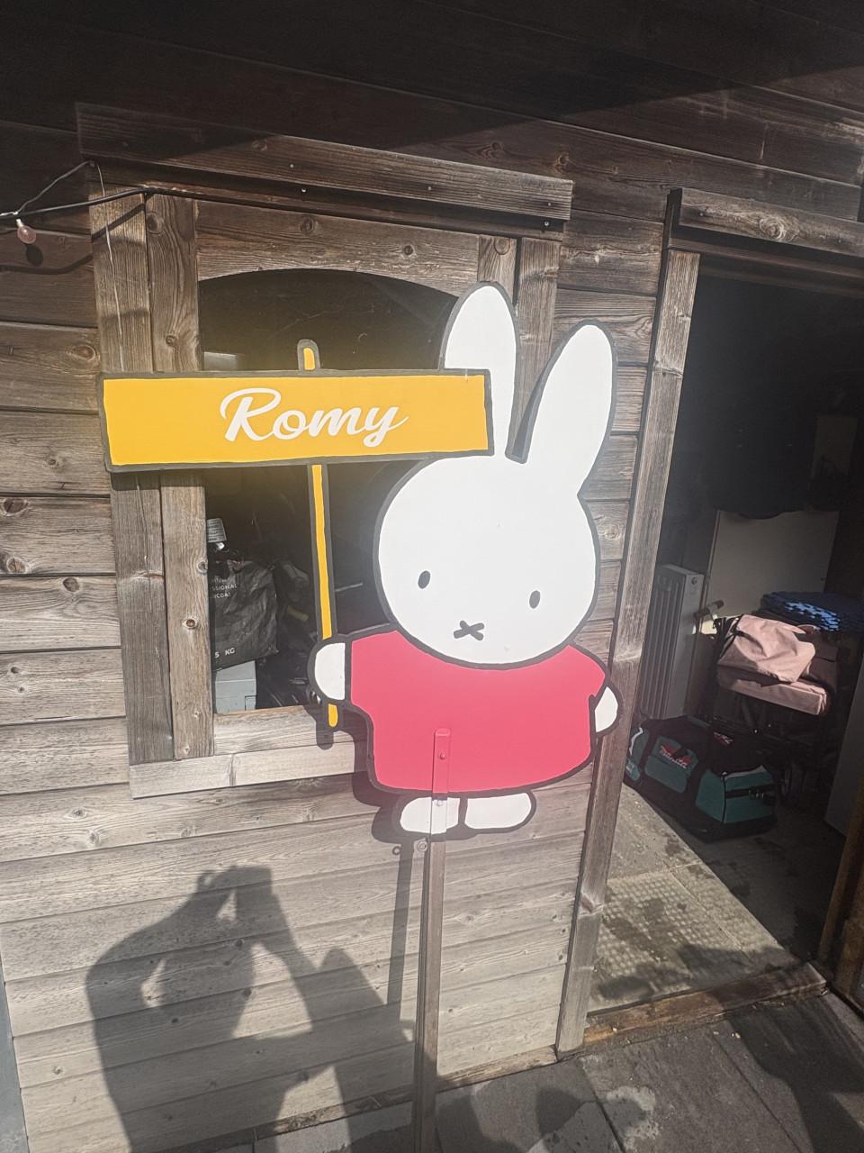Geboorte bord Nijntje zelf gemaakt