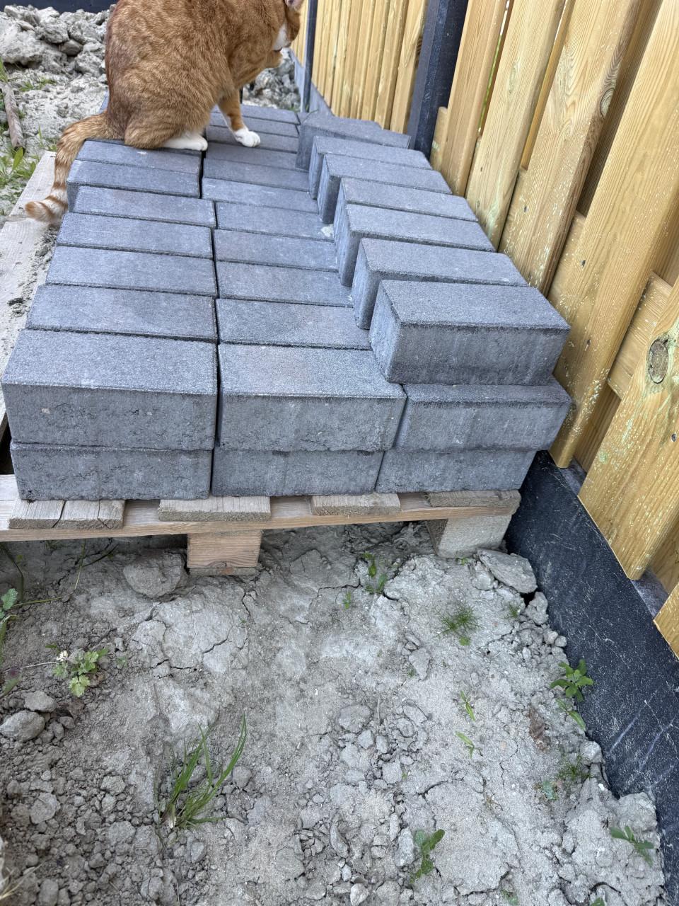 Gratis ophalen: beton klinkers
