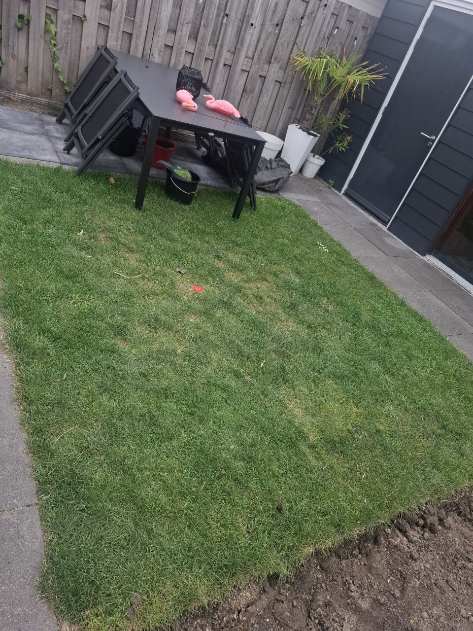 Gras