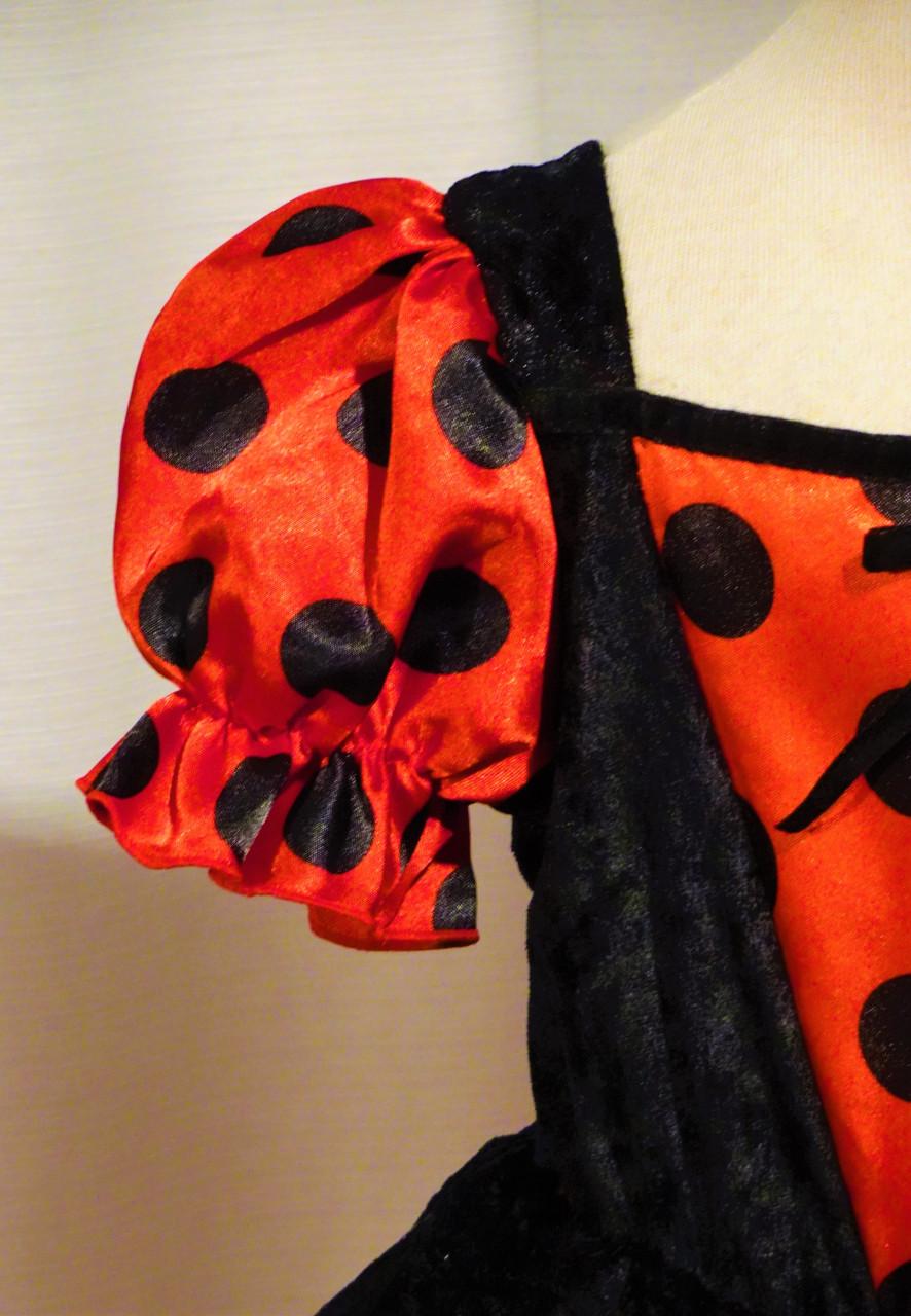 Nieuw Mt. 140-152 Lady Bug Lieveheersbeestje Jurk + Vleugels