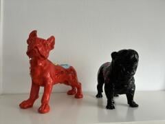 Wove-dogs van Hannes d'Haese