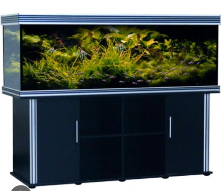 Mooi compleet aquarium