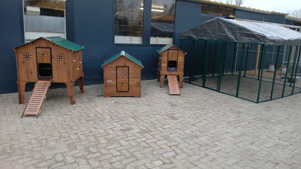 Nieuw!! Cucciolotta kippenverblijven