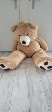 Te koop beer 150 cm groot