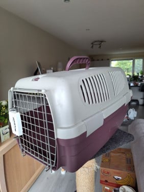 Kattenreismand