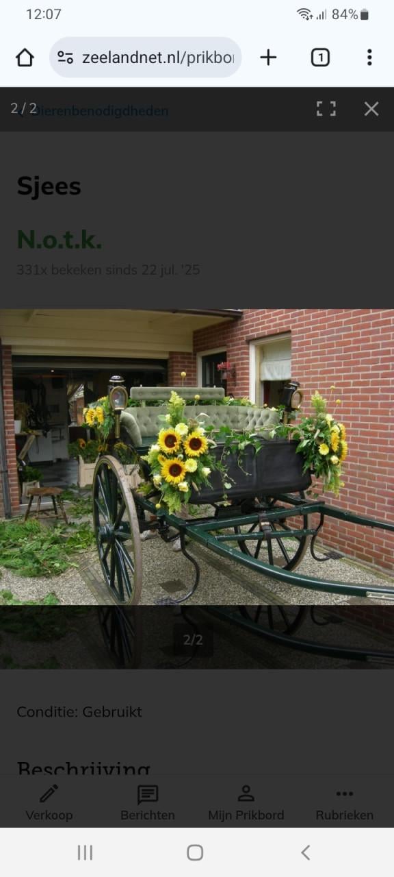 Sjees Friese tilburie