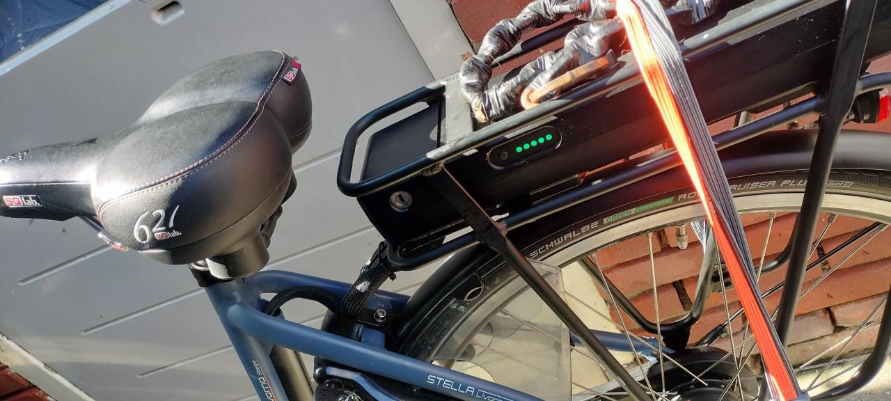 Stella Livorno steps