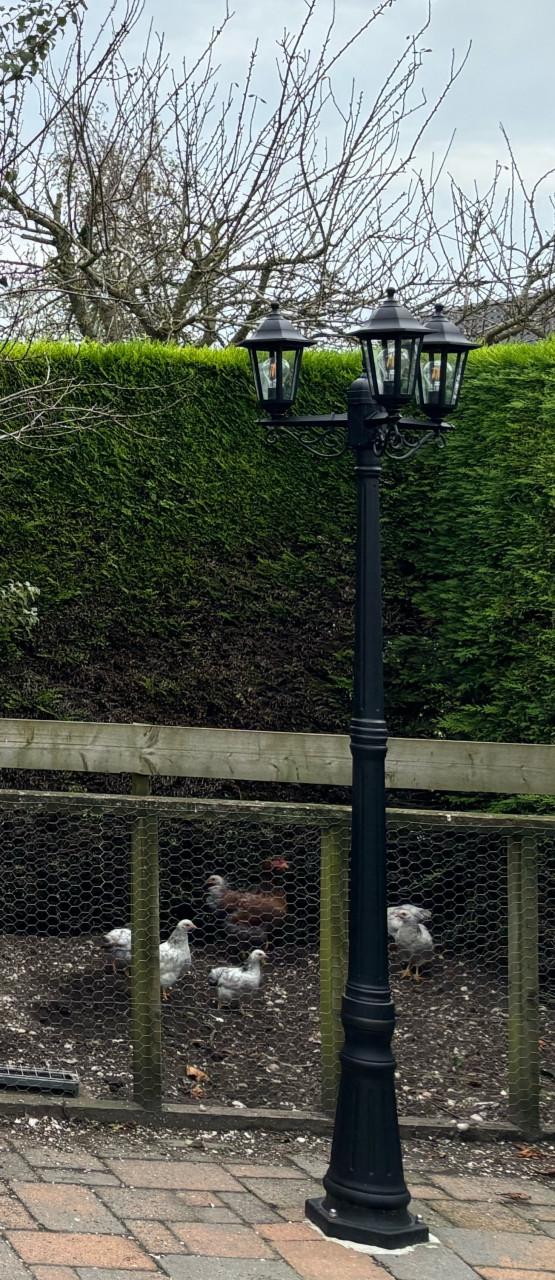 Prachtige lantaarn - Met 3 armen