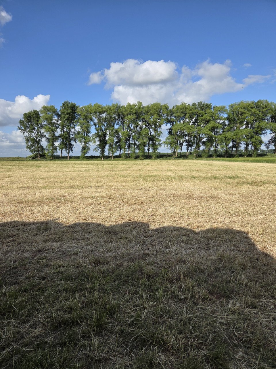 Gewikkelde hooibalen