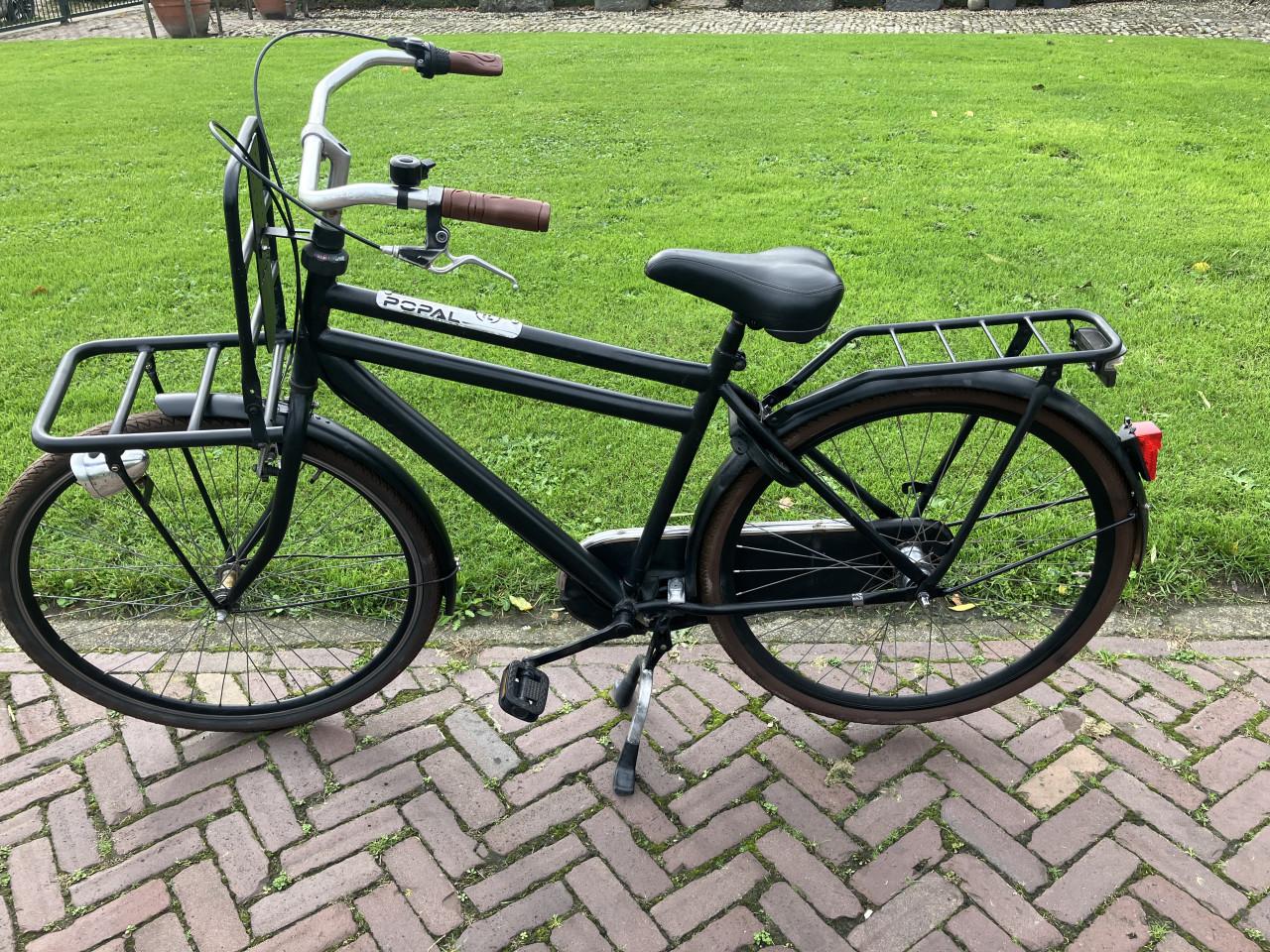 Popal Pick-Up 28''