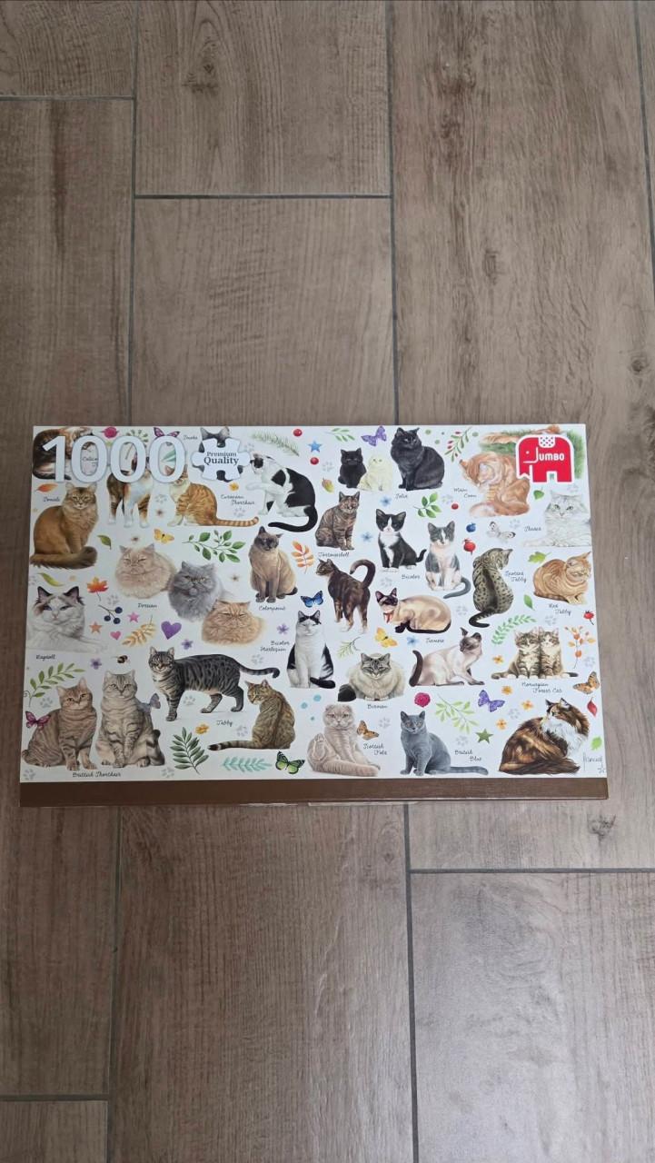 😻 Puzzel 1000 stukjes Franciens katten