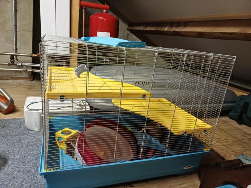 TK: grote hamsterkooi met accessoires, zgan