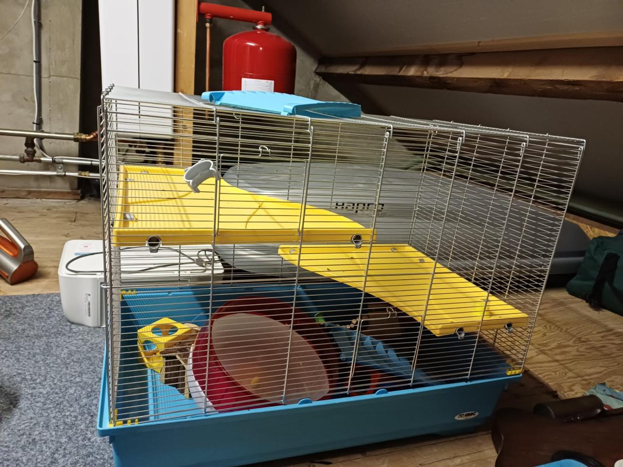TK: grote hamsterkooi met accessoires, zgan