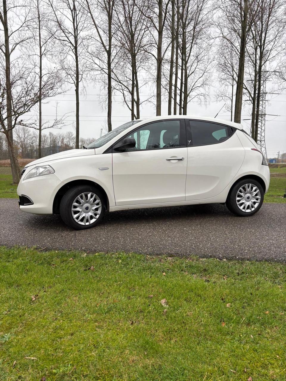Lancia Ypsilon 0.9 TwinAir GOLD |AUT|CRUISE|A-LABEL