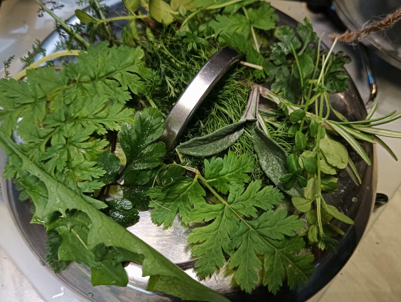 Wildplukwinterwandeling