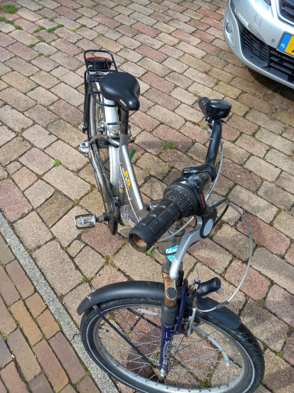 Kinder fiets Gazelle