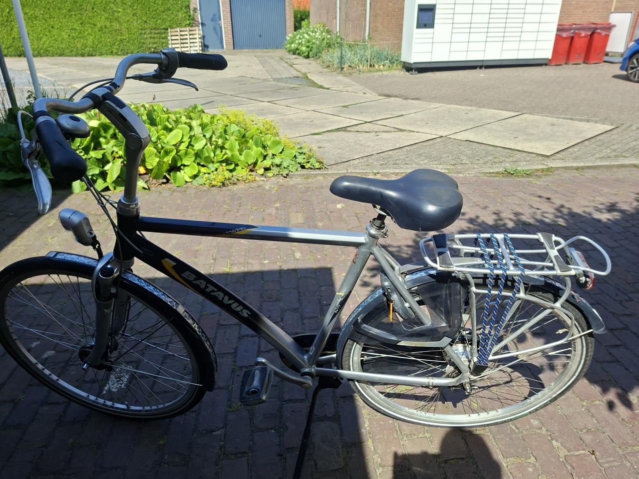 Batavus crescendo