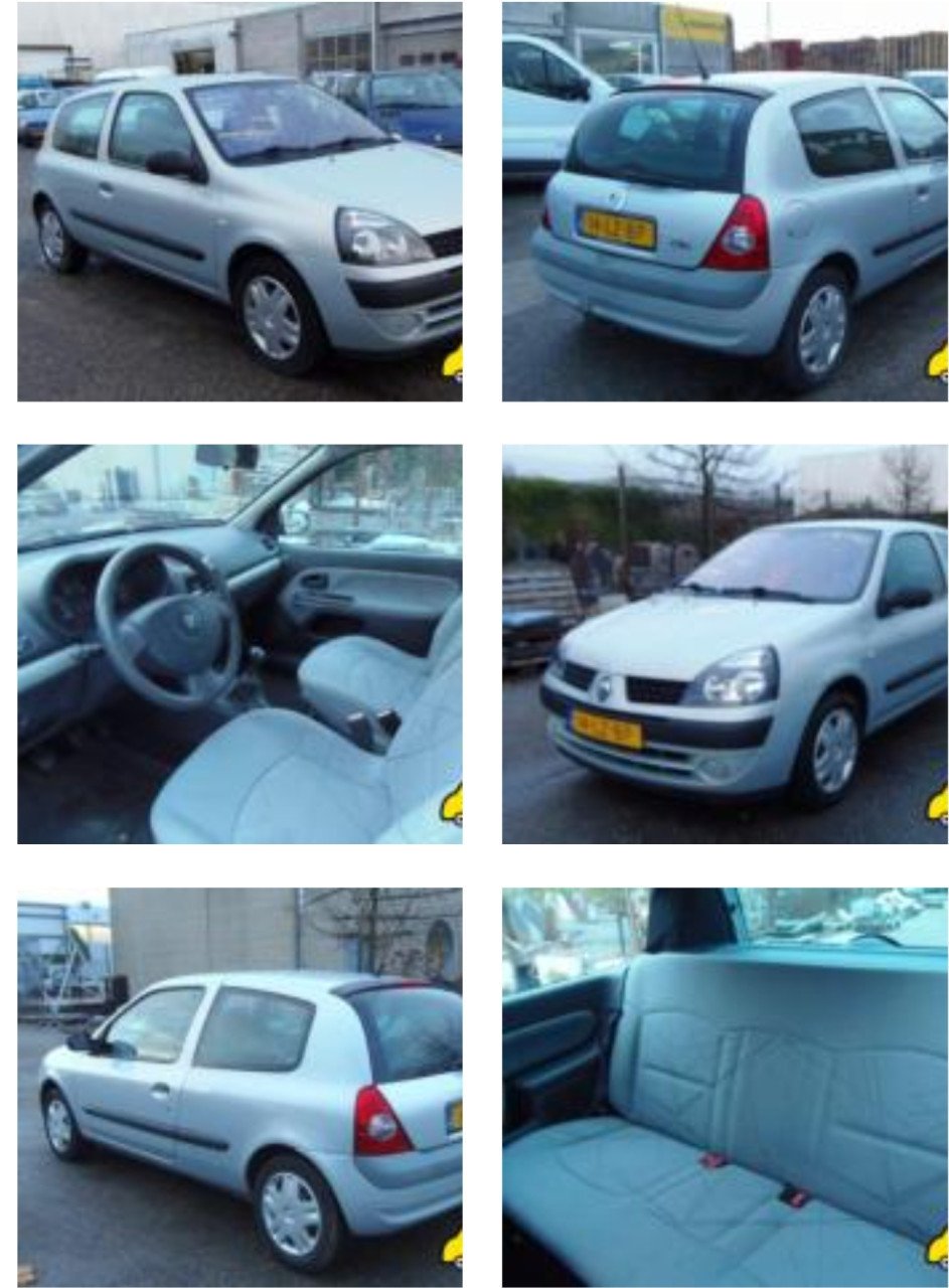 Renault clio