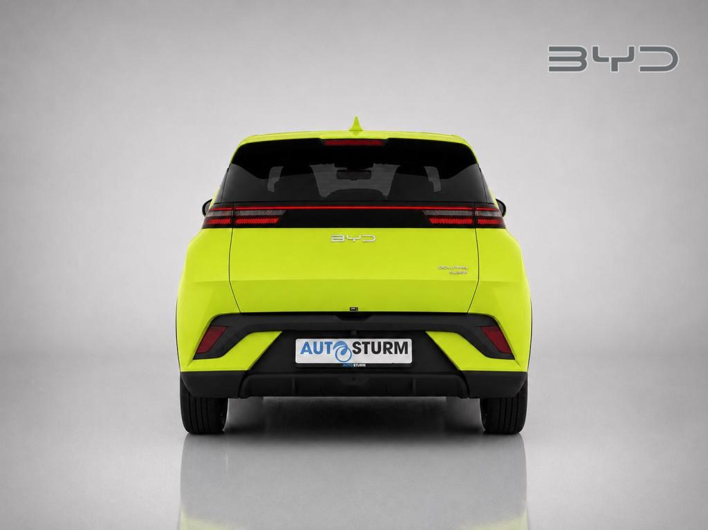 Byd Dolphin Surf comfort 43 kwh
