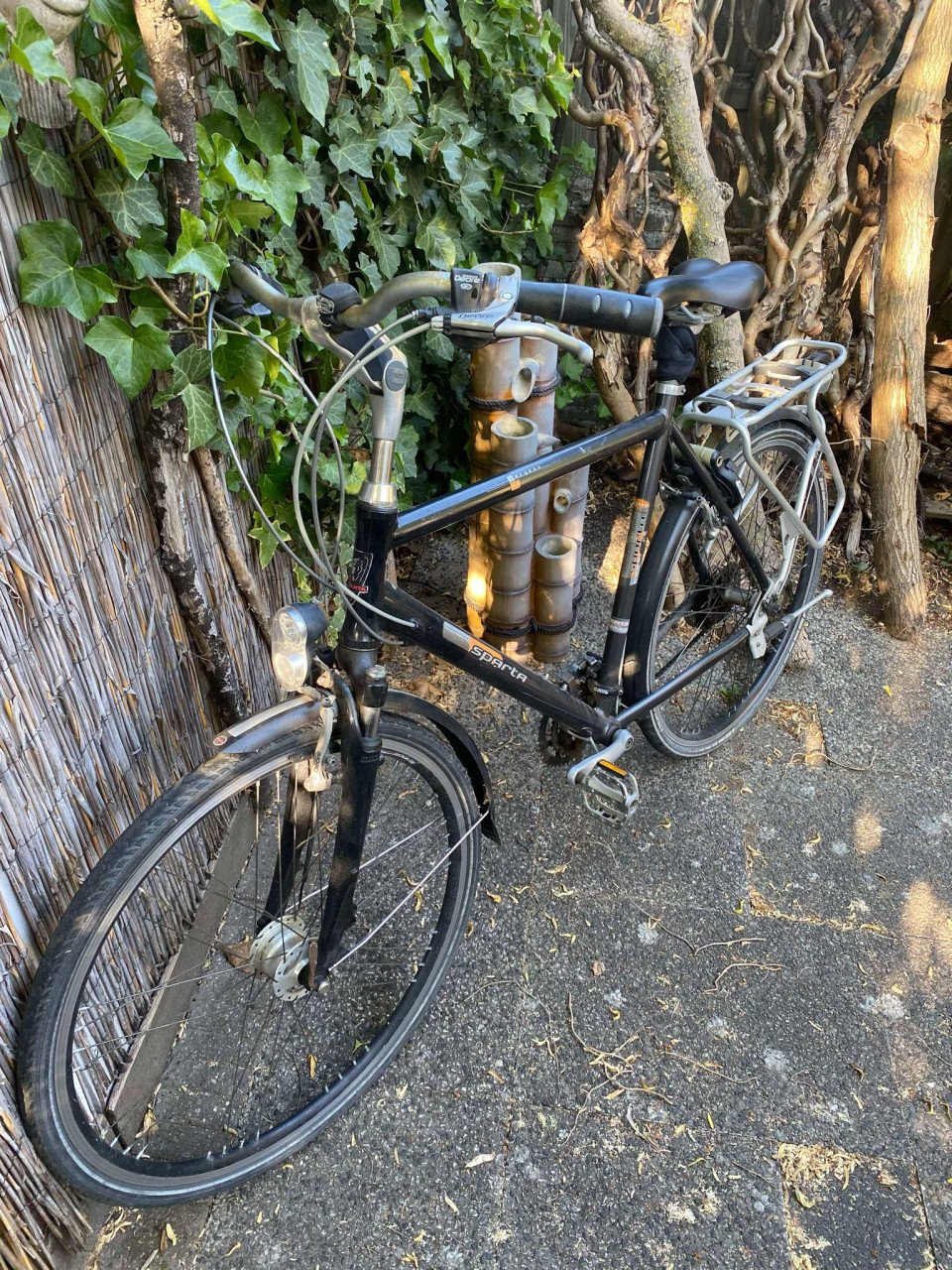 Herenfiets groot