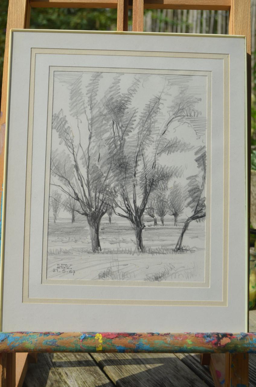 9 x Hendrik Voskuijl (1893 - 1980) potloodtek. bomen (3) o.a. Ommen