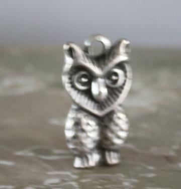 Zilverkleurige ketting hanger uil