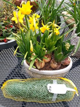 Tenax Flora Rete Steungaas