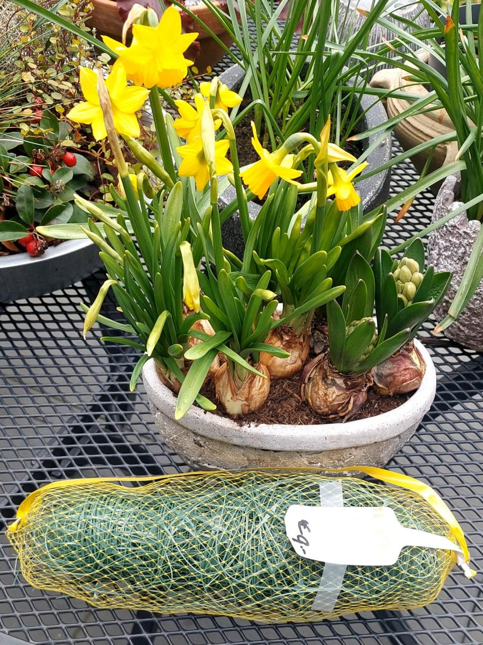 Tenax Flora Rete Steungaas