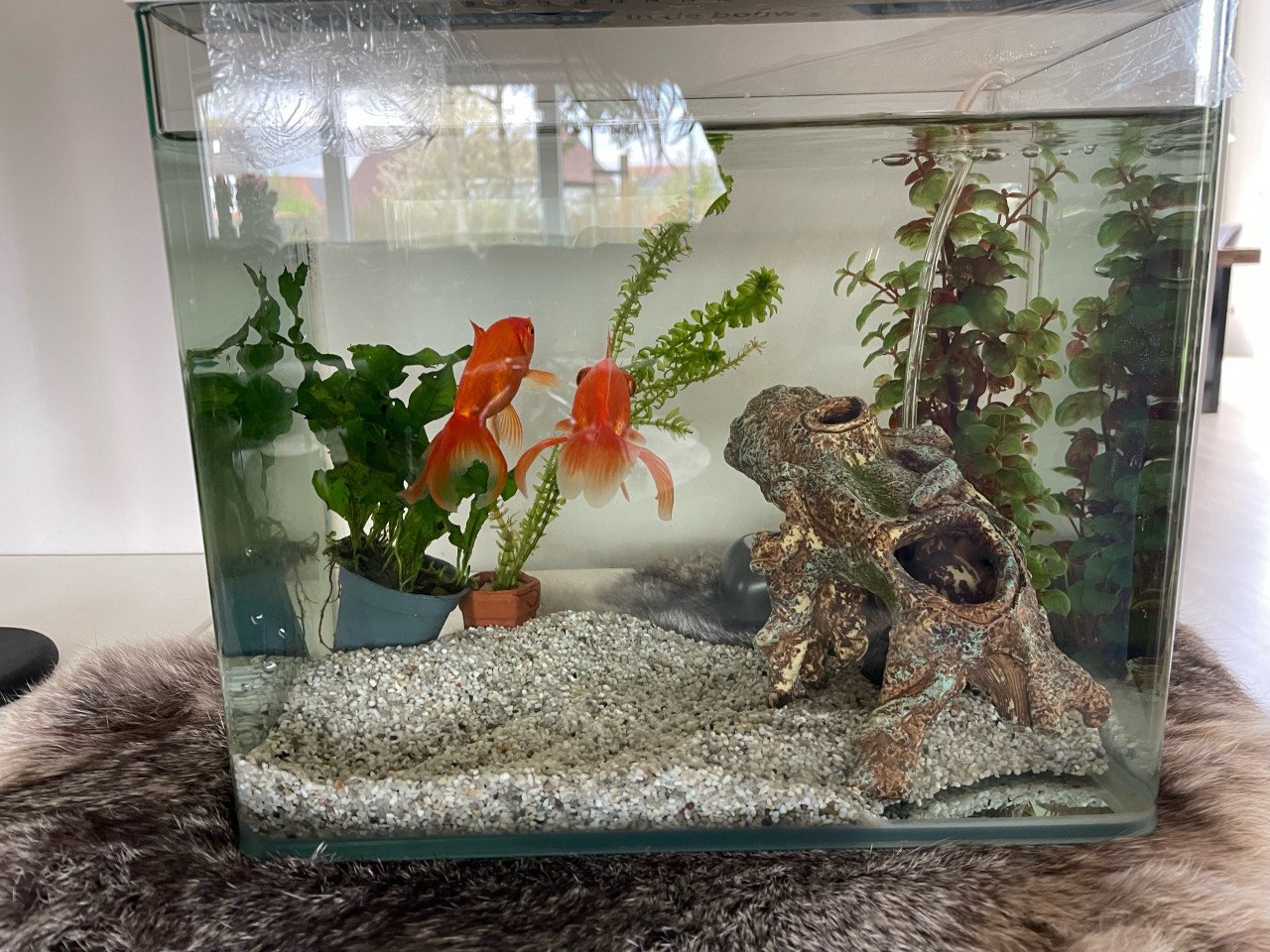 Aquarium
