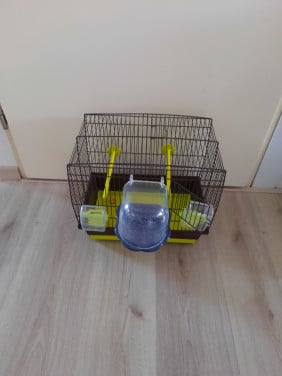 Vogelkooi
