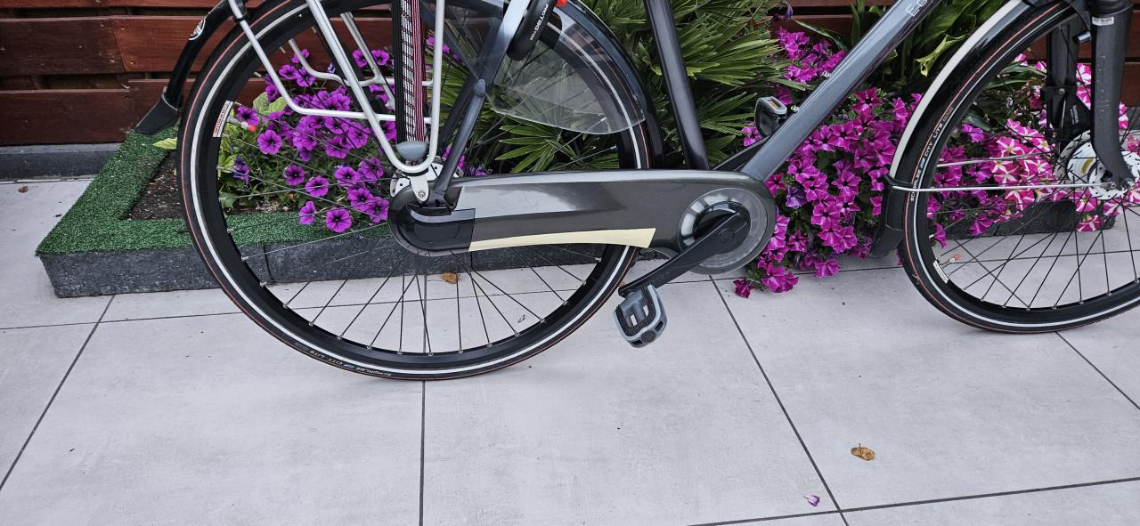 Gazelle Eclipse Limited 65 cm Herenfiets