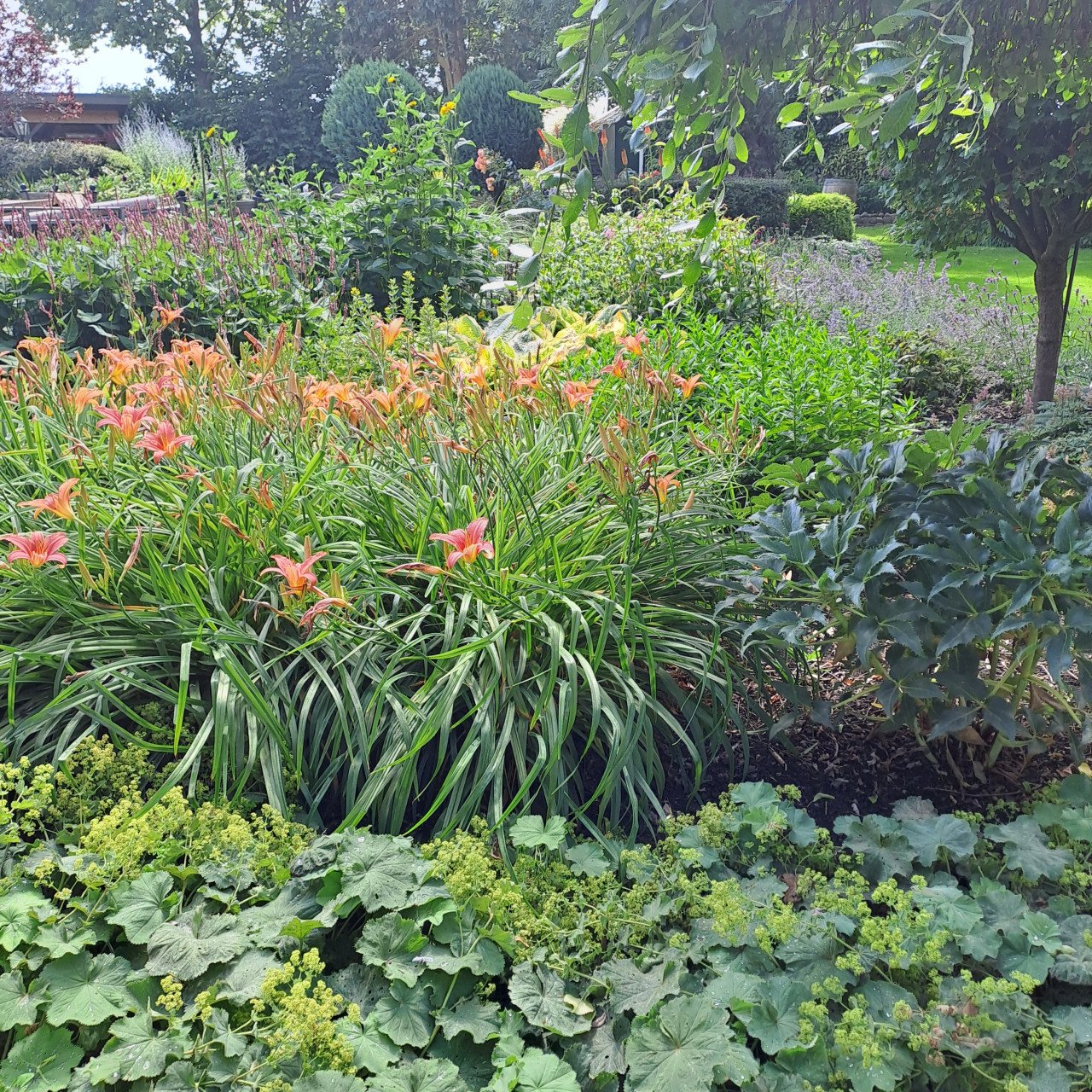 Opentuin dagen 30 en 31 augustus
