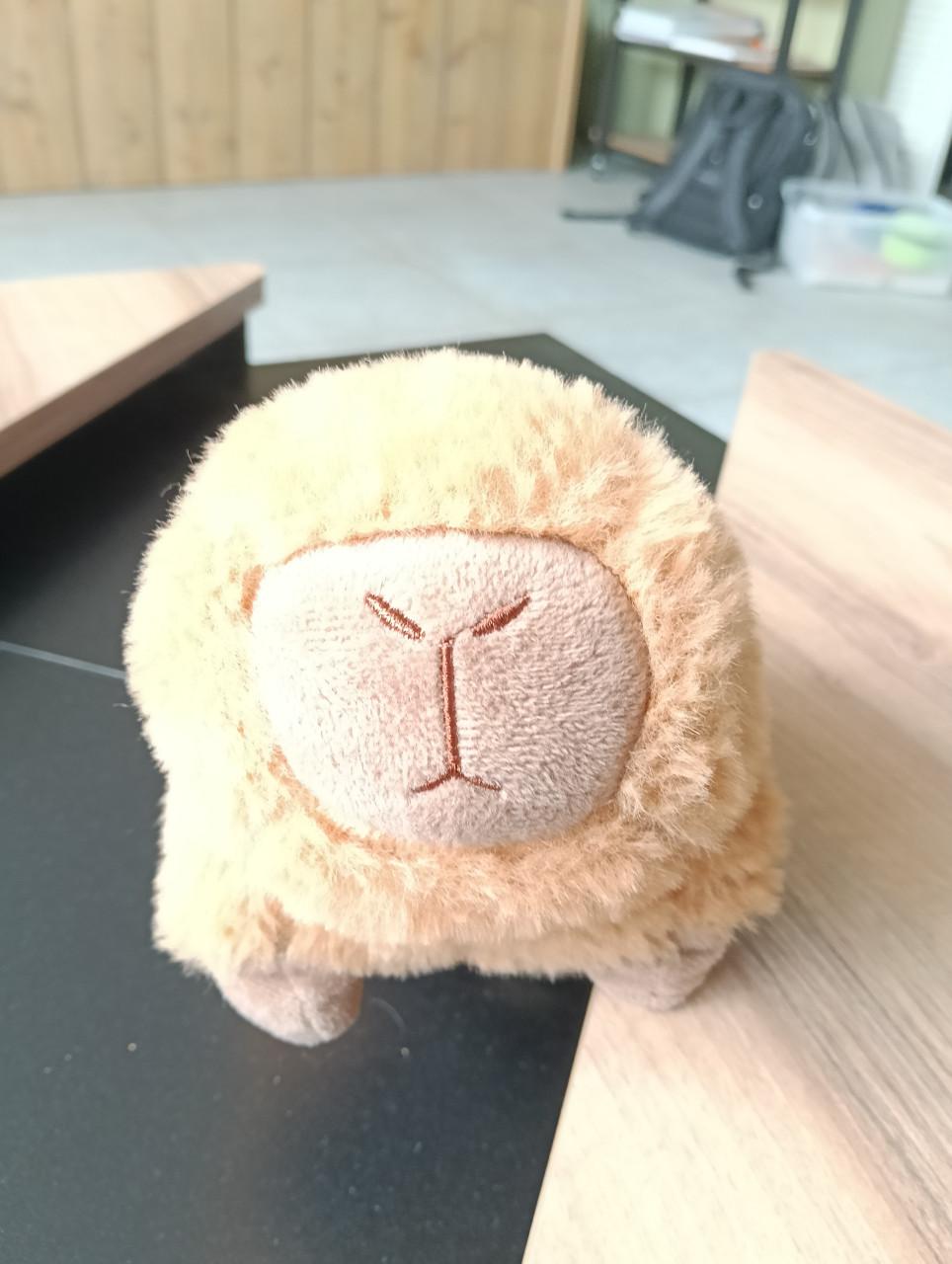 Knuffel