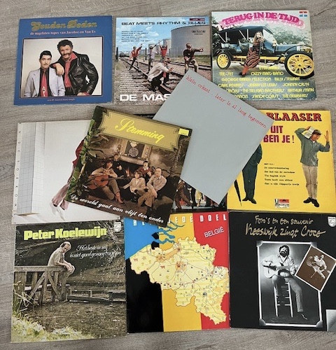 Vinylplaten / LP’s