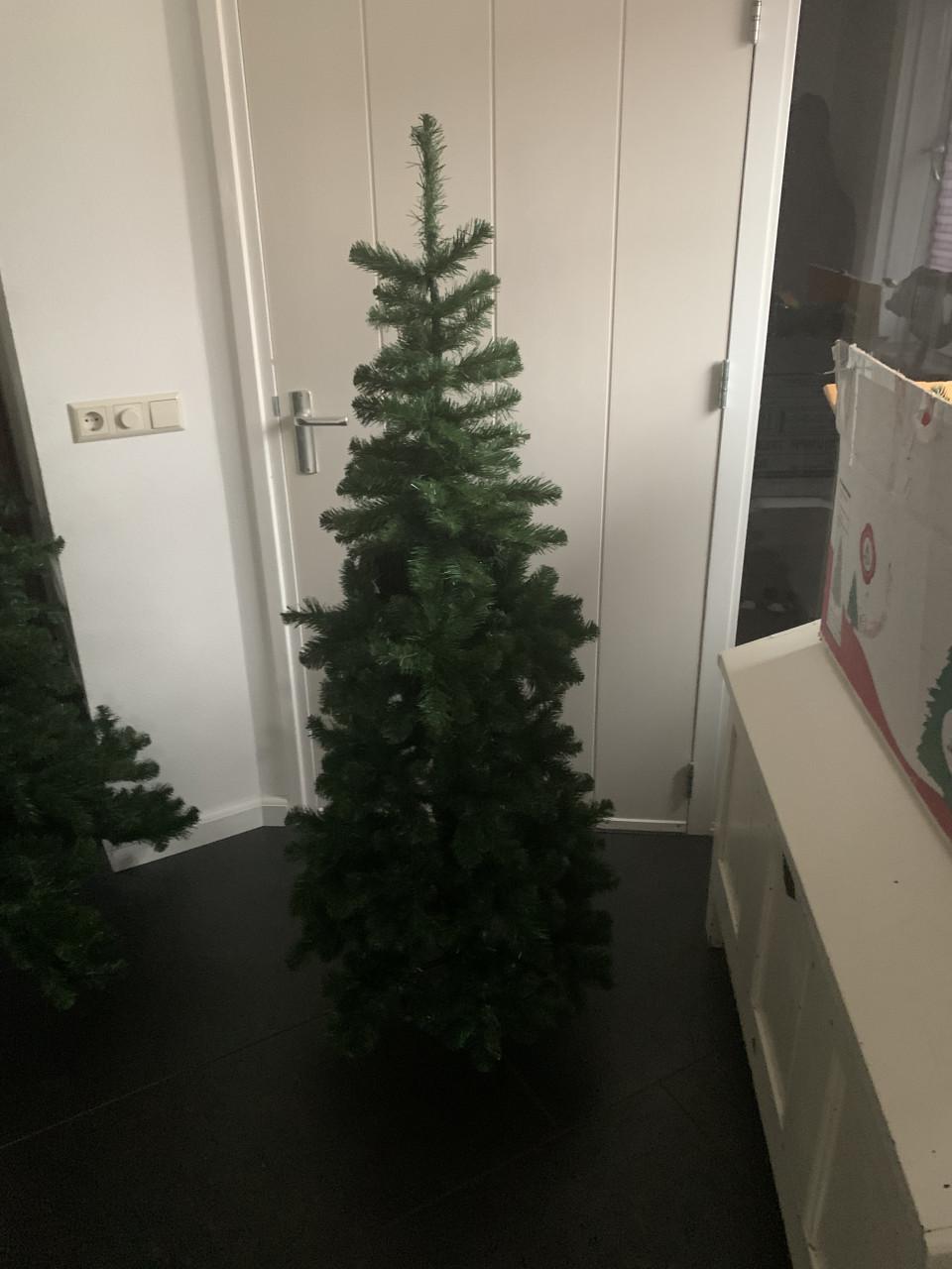 Kerstboom smal 1.55 hoog . Intratuin Triumph tree