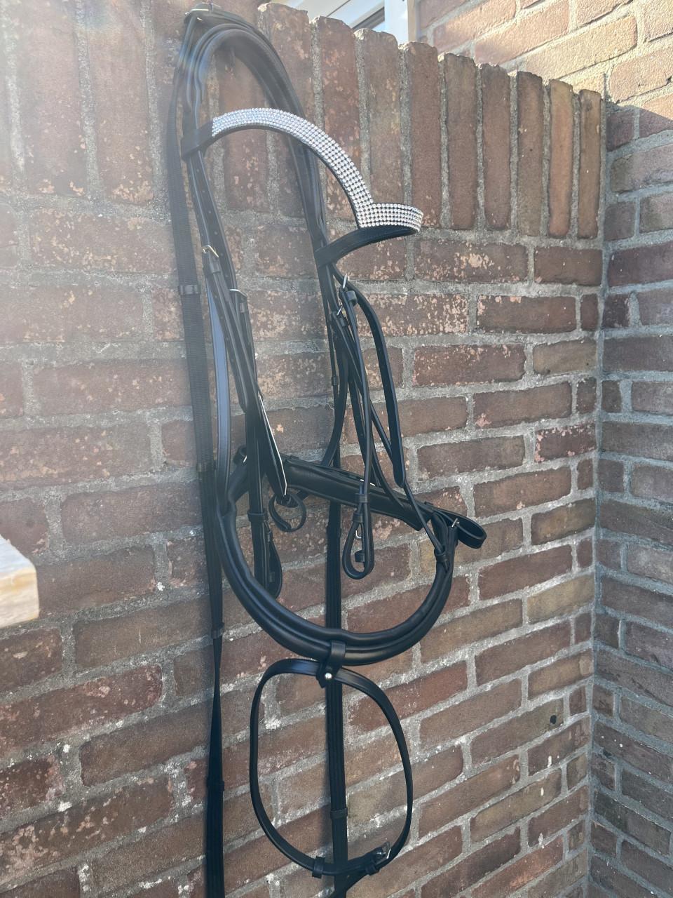 Nieuw hoofdstel trekpaard