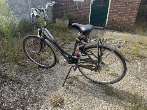 Batavus Intermezzo 28” damesfiets Shimano nexus 7 versnellingen