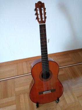 Spaanse Gitaar
