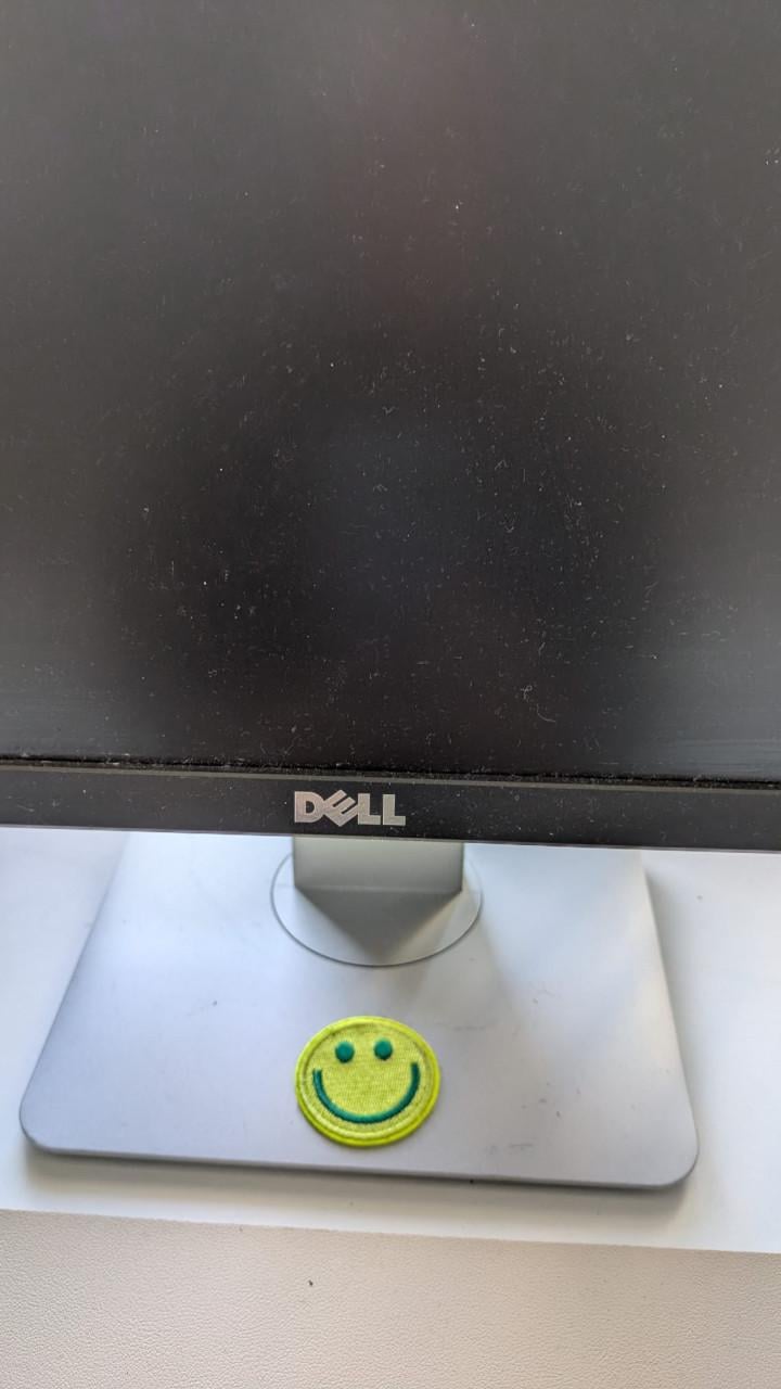 Dell monitor; 24 en 22 inch (samen 80 euro)